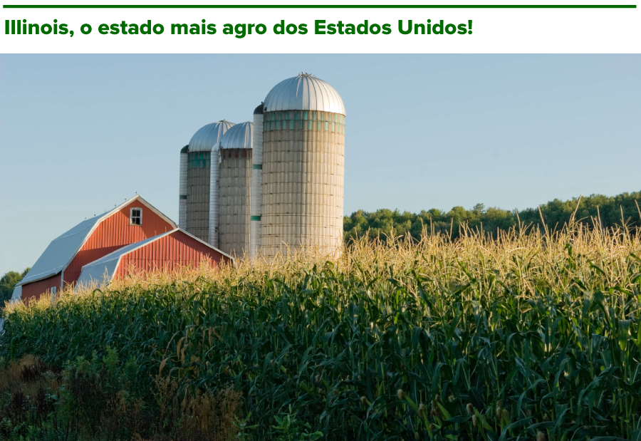 Illinois, o estado mais agro dos Estados Unidos!