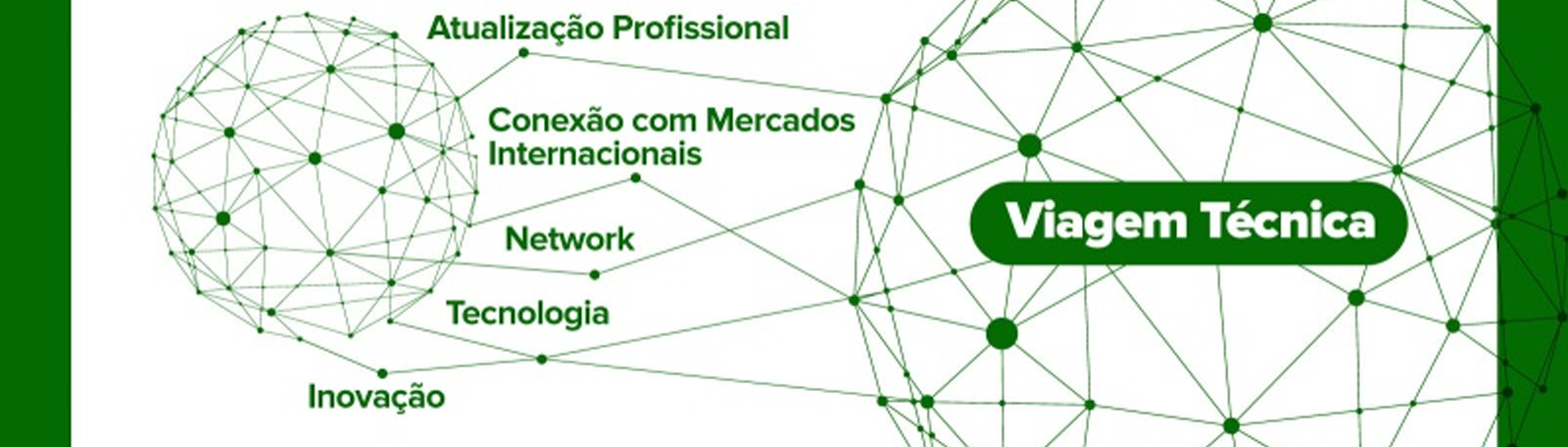Atualização Profissional, Conexão com Mercados Internacionais, Network, Inovação e Tecnologia são os motivos para você considerar uma Viagem Técnica