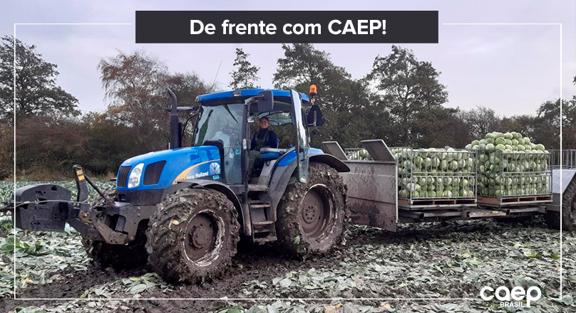 EPISÓDIO 2: INTERCÂMBIO AGRÍCOLA