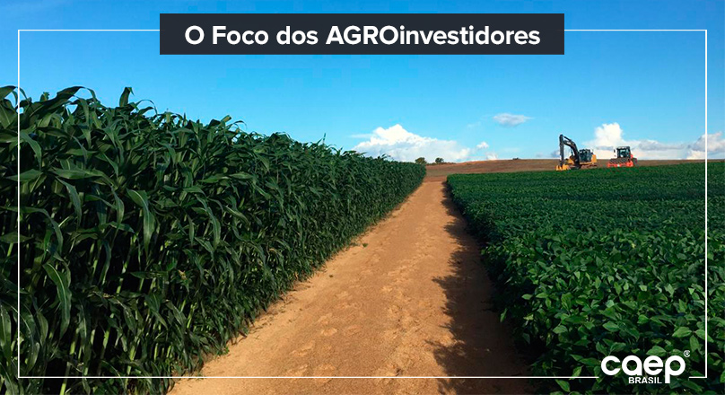 5 motivos para investir na terra da oportunidade!