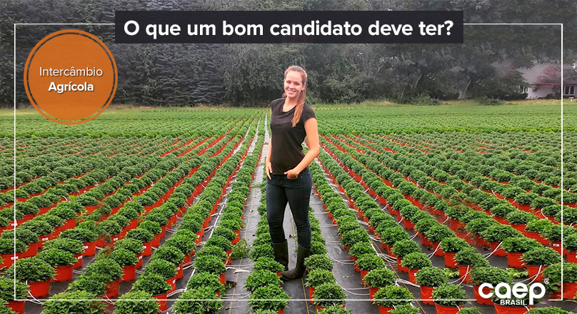 O que um bom candidato deve ter?