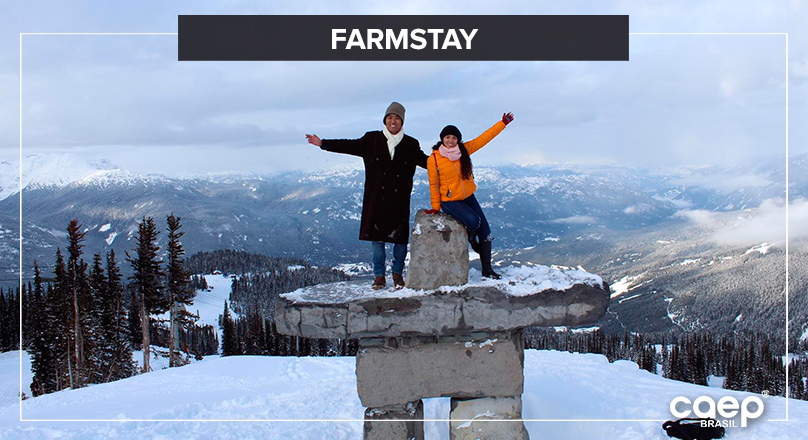 Farmstay – Experiência une estudo e trabalho!