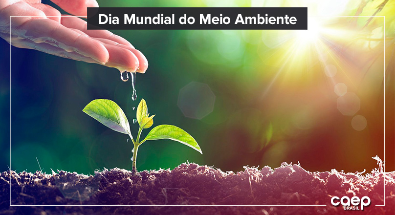 Geração de Ar Puro é tema de 2019