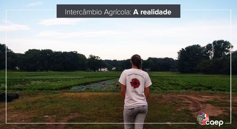 A realidade do Intercâmbio Agrícola
