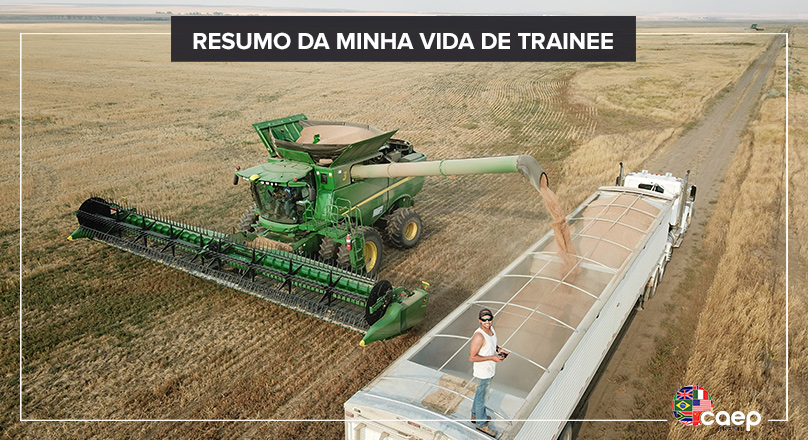 O resumo da minha Vida de Trainee