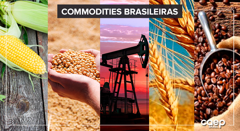 Conheça as 5 principais Commodities Brasileiras