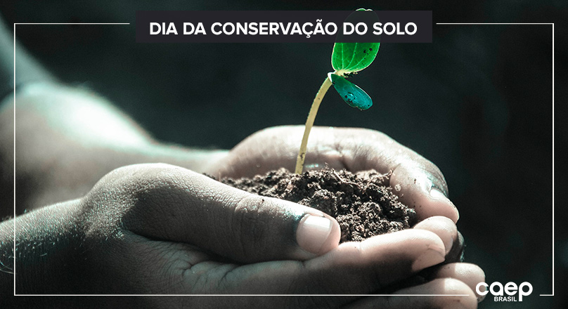 5 Técnicas de Conservação do Solo