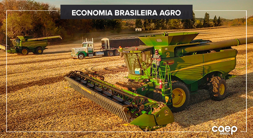 Saiba como o Agronegócio Impulsiona o Mundo