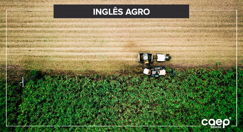 Veja 10 palavras para aprimorar o seu inglês AGRO