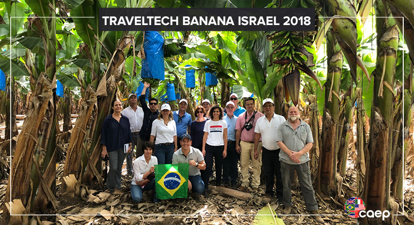 Bananicultores Buscam Novas Tecnologias em Israel