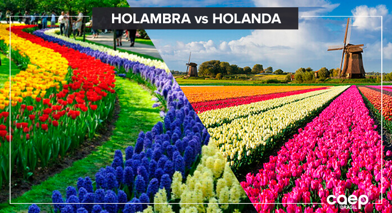 HOLAMBRA vs HOLANDA: o trava línguas!
