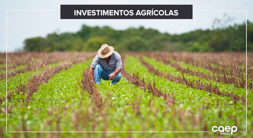 Por que investir em terras?