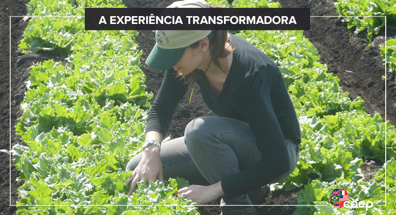 Qual o valor de uma experiência transformadora?