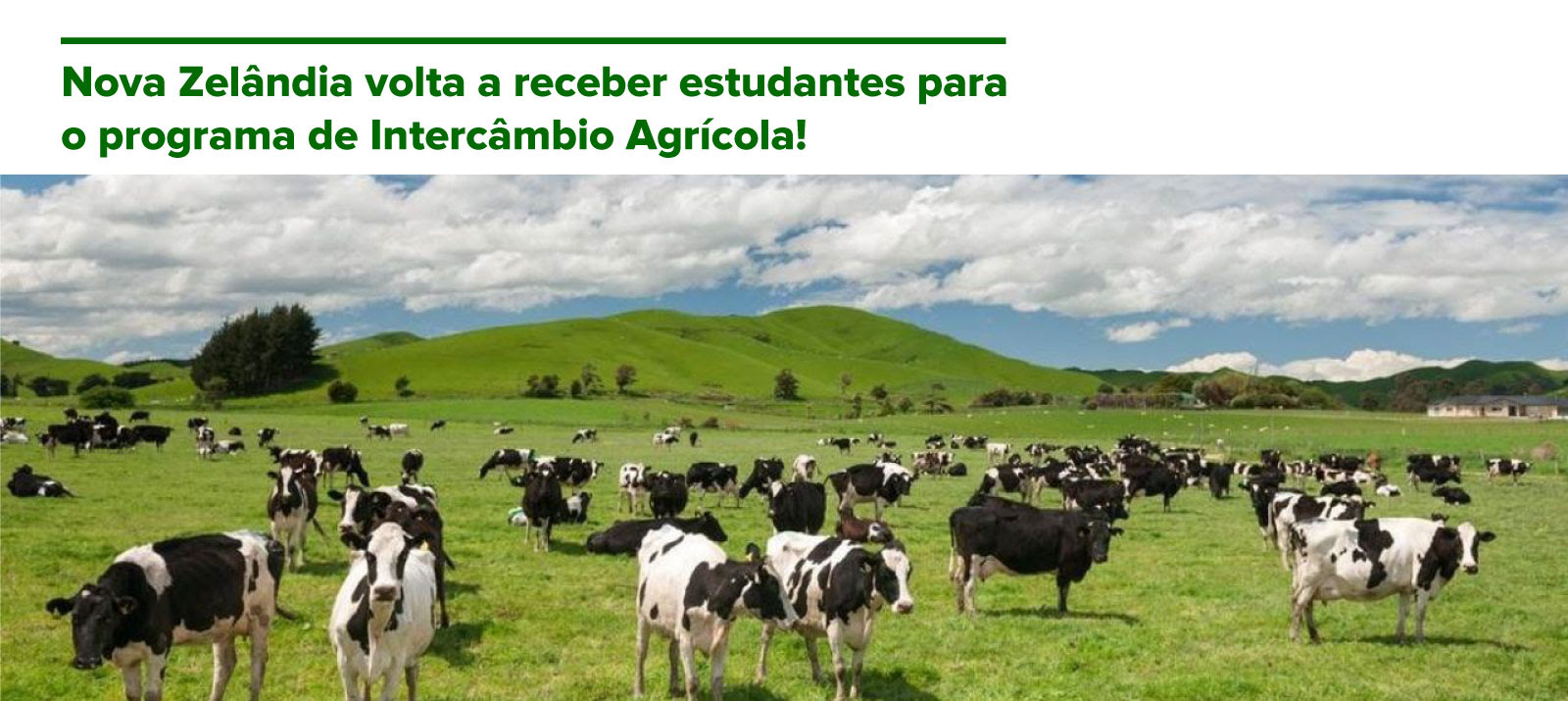 Nova Zelândia volta a receber estudantes para o programa de Intercâmbio Agrícola