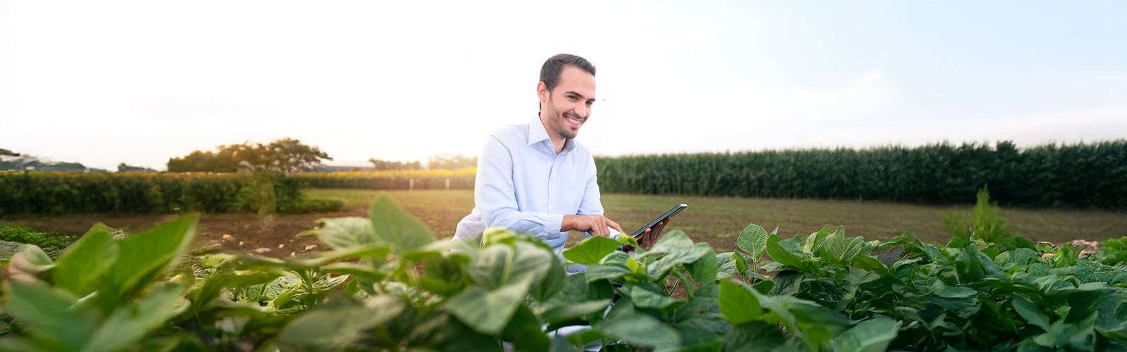 A jornada do profissional AGRO
